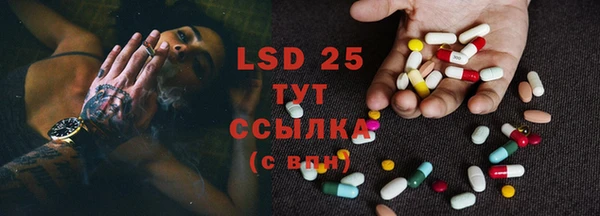 шишки Белоозёрский