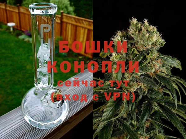 каннабис Богданович