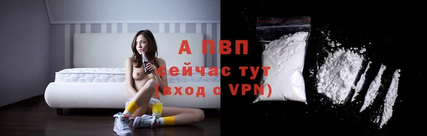 apvp Богородск