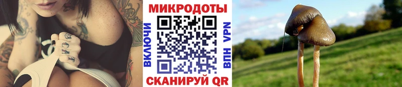 Псилоцибиновые грибы ЛСД  Южно-Сухокумск 